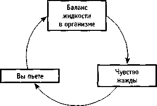 Искусство системного мышления. Необходимые знания о системах и творческом подходе к решению проблем