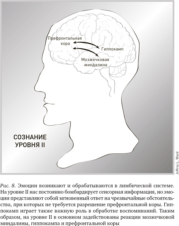 Будущее разума