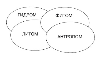 Специальные виды туризма. Лечебный туризм