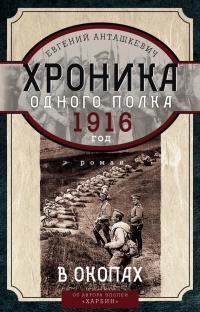 В окопах. 1916 год. Хроника одного полка - Евгений Анташкевич