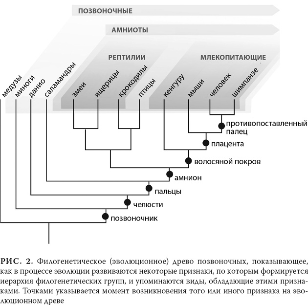 Эволюция: Неопровержимые доказательства