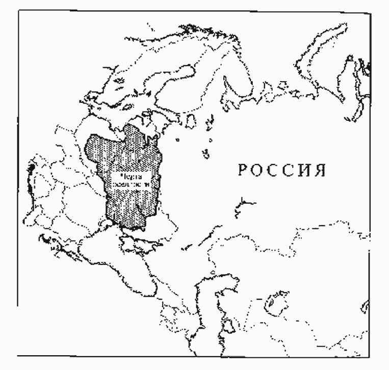 Золотая страна. Нью-Йорк, 1903. Дневник американской девочки Зиппоры Фельдман