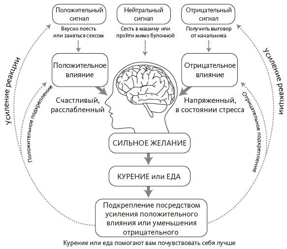 Зависимый мозг. От курения до соцсетей. Почему мы заводим вредные привычки и как от них избавиться