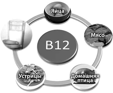 Веганское сыроедение и здоровый образ жизни