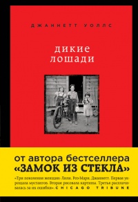 Дикие лошади. У любой истории есть начало - Джаннетт Уоллс