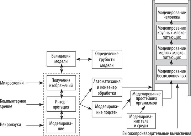 Искусственный интеллект. Этапы. Угрозы. Стратегии