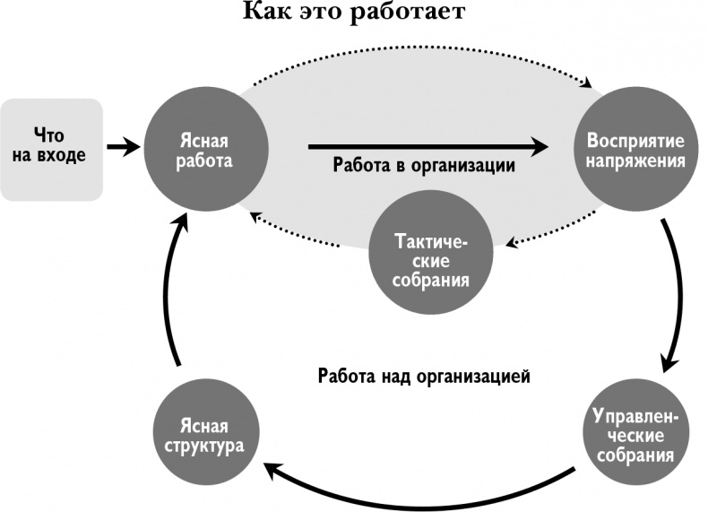 Холакратия. Революционный подход в менеджменте