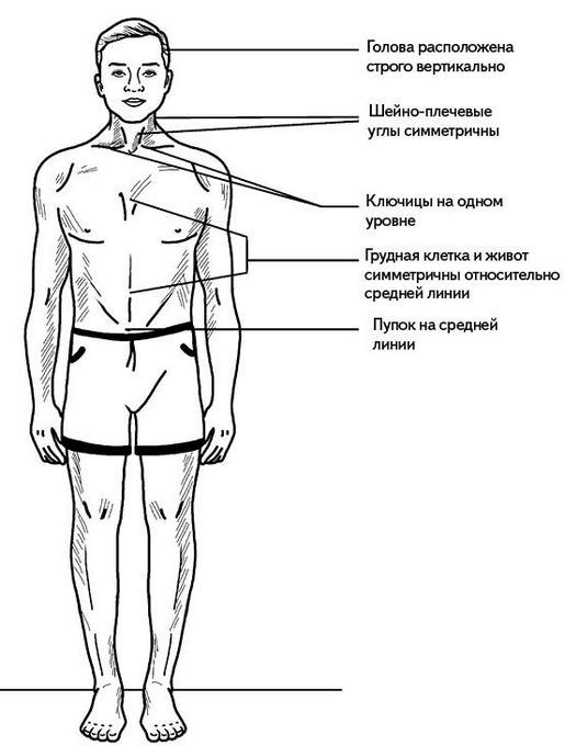 Жизнь без боли в спине. Лечение сколиоза, остеопороза, остеохондроза, межпозвонковой грыжи без операции