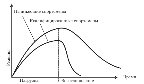 Силовой тренинг. Как нарастить силу, занимаясь без тренера