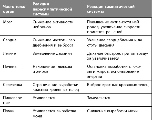 Как победить стресс на работе за 7 дней