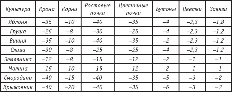 Большая энциклопедия садовода-огородника от А до Я