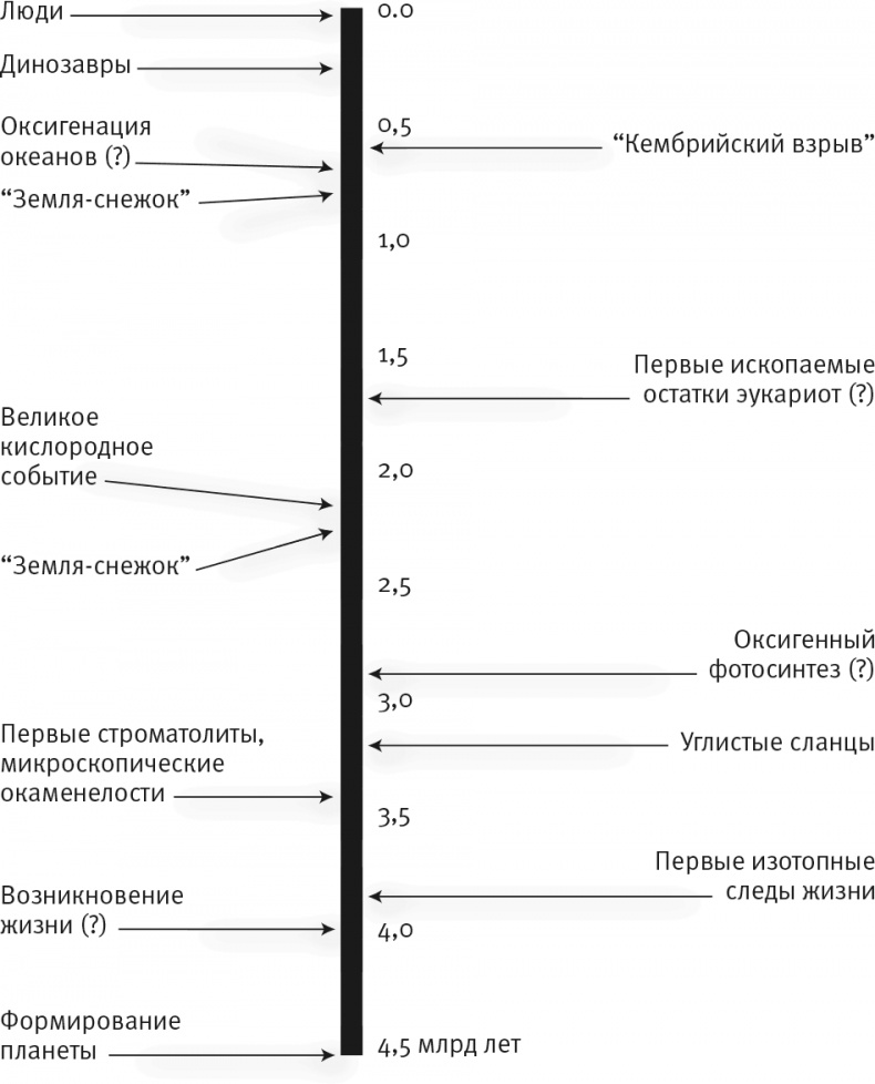 Вопрос жизни. Энергия, эволюция и происхождение сложности