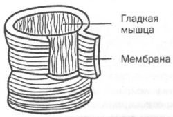 Управление голосом