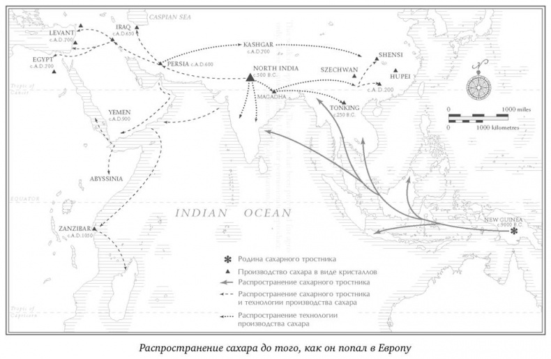 История сахара. Сладкая и горькая