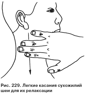 Целительные точки от всех болезней в пошаговых схемах