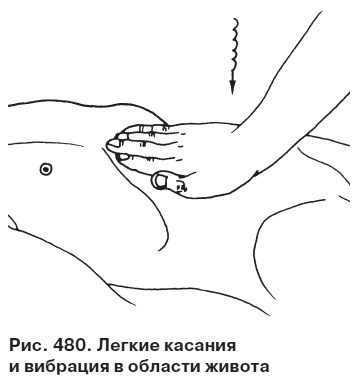 Целительные точки от всех болезней в пошаговых схемах