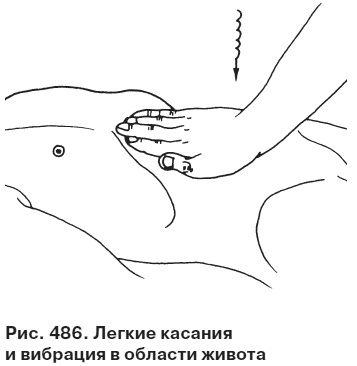 Целительные точки от всех болезней в пошаговых схемах