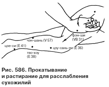 Целительные точки от всех болезней в пошаговых схемах