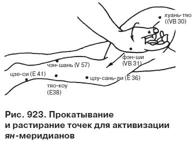 Целительные точки от всех болезней в пошаговых схемах