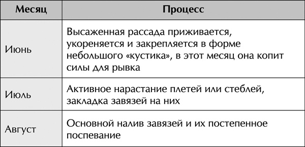 Теплицы без ошибок. С чего начать и как эффективно использовать