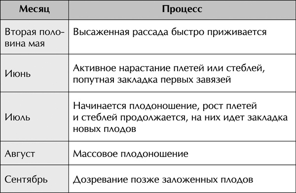 Теплицы без ошибок. С чего начать и как эффективно использовать