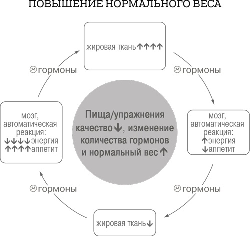 Дело не в калориях. Как не зависеть от диет, не изнурять себя фитнесом, быть в отличной форме и жить лучше