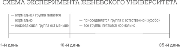 Дело не в калориях. Как не зависеть от диет, не изнурять себя фитнесом, быть в отличной форме и жить лучше