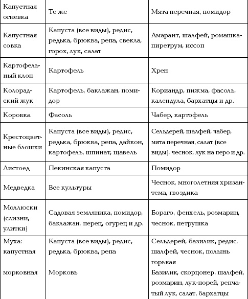 Отличный урожай круглый год