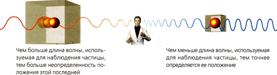 Мир в ореховой скорлупке