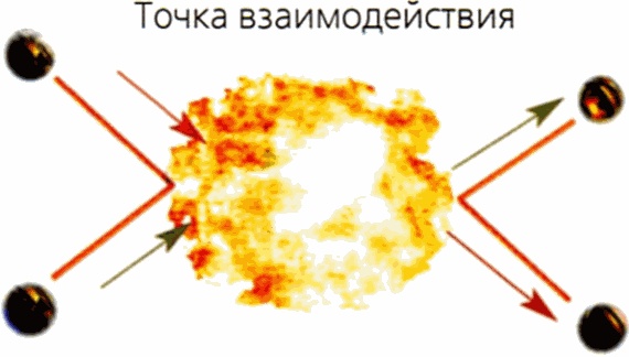 Мир в ореховой скорлупке