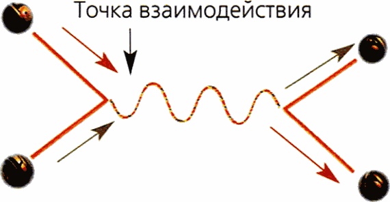 Мир в ореховой скорлупке