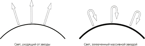 Мир в ореховой скорлупке