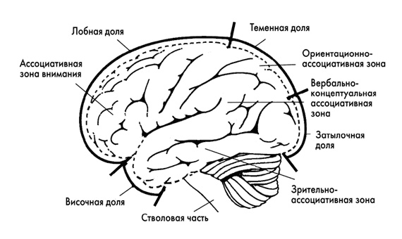 Тайна Бога и наука о мозге. Нейробиология веры и религиозного опыта