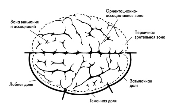 Тайна Бога и наука о мозге. Нейробиология веры и религиозного опыта