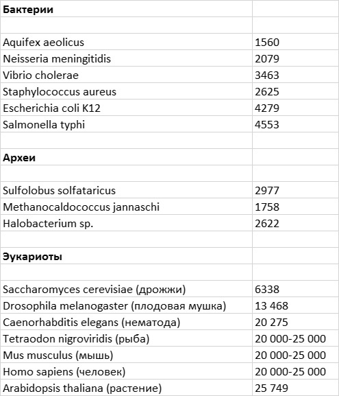 Приспособиться и выжить! ДНК как летопись эволюции