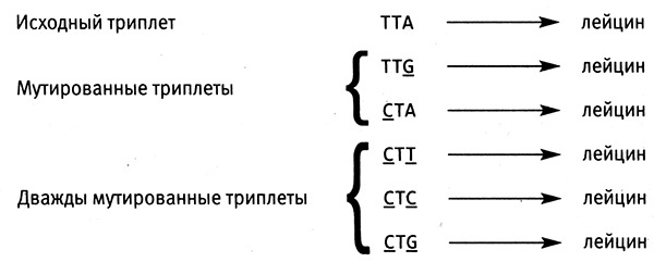 Приспособиться и выжить! ДНК как летопись эволюции