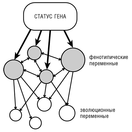 Логика случая. О природе и происхождении биологической эволюции