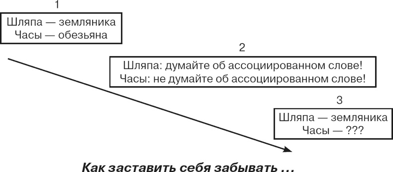 Почему девочки не хуже мальчиков разбираются в математике