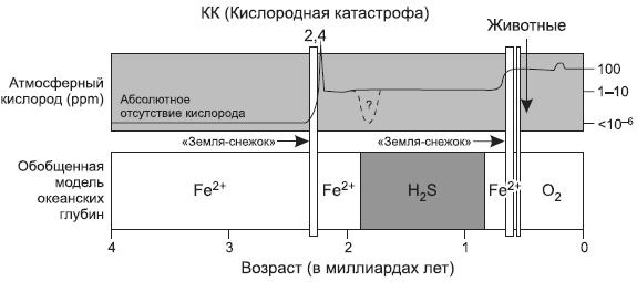 Новая история происхождения жизни на Земле