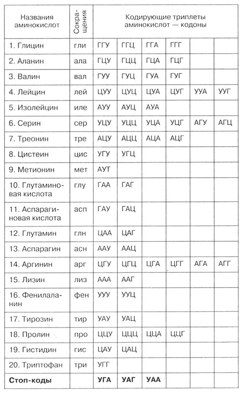 Биология: Обмен веществ и энергии в клетках организма