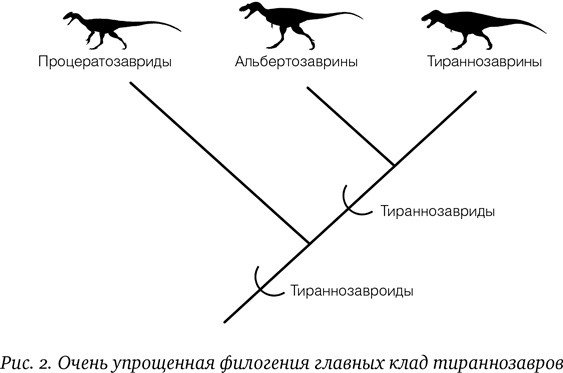 Хроники тираннозавра. Биология и эволюция самого известного хищника в мире