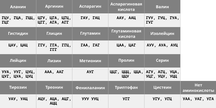 Геном человека: Энциклопедия, написанная четырьмя буквами