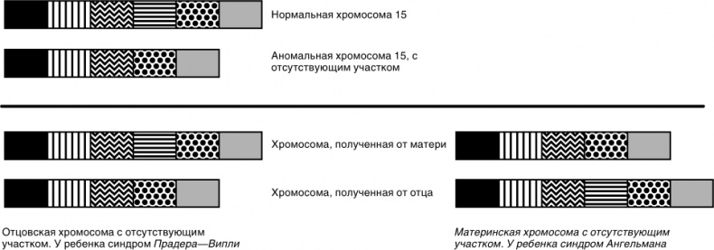 Эпигенетика. Как современная биология переписывает наши представления о генетике, заболеваниях и наследственности