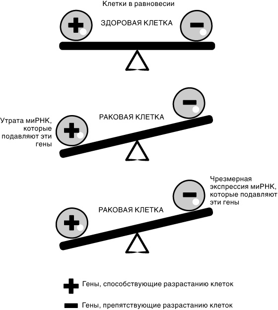 Эпигенетика. Как современная биология переписывает наши представления о генетике, заболеваниях и наследственности