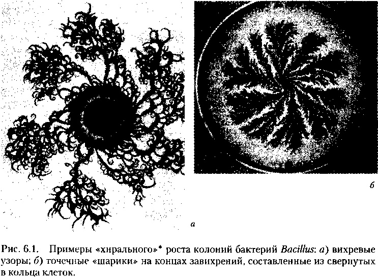 Критическая масса. Как одни явления порождают другие