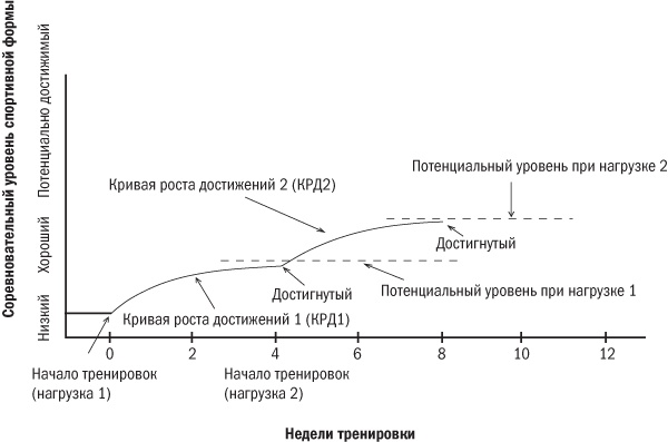 От 800 метров до марафона