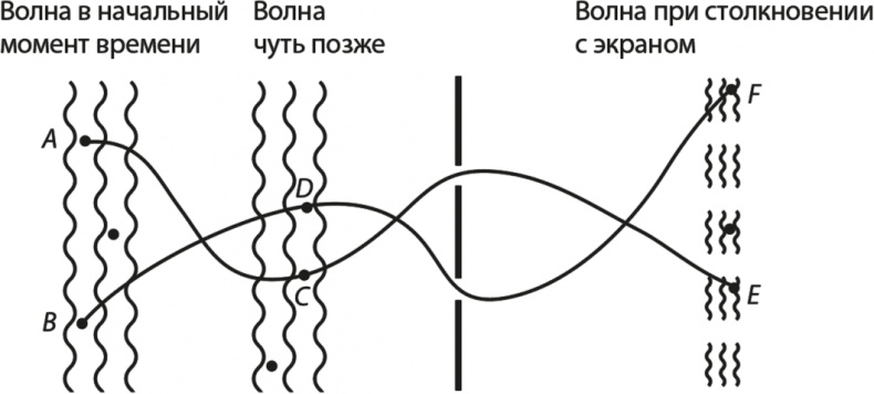 Вселенная. Курс выживания среди черных дыр, временных парадоксов, квантовой неопределенности