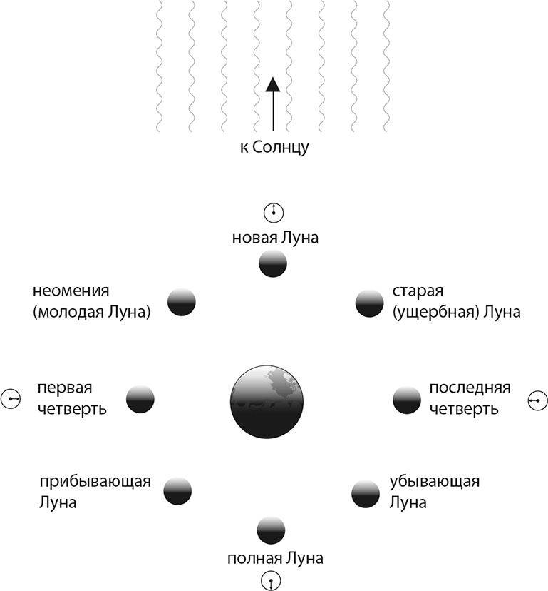 Вселенная. Курс выживания среди черных дыр, временных парадоксов, квантовой неопределенности