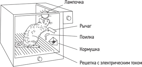 Психология. Люди, концепции, эксперименты