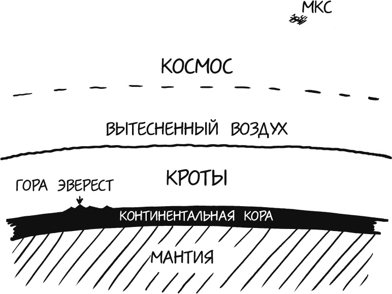 А что, если?.. Научные ответы на абсурдные гипотетические вопросы